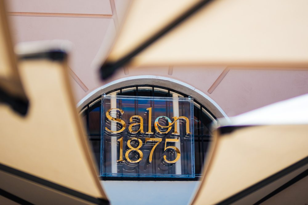 Un tour du Salon